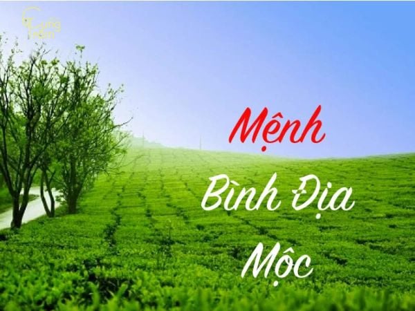 Mệnh Bình Địa Mộc là gì? Người sinh năm nào thuộc mệnh Bình Địa Mộc?