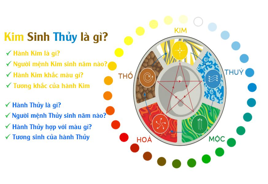 Kim sinh Thủy là gì? Hôn nhân, sự nghiệp của Kim sinh Thủy sẽ như thế nào trong tương lai?