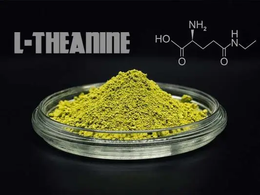 L-Theanine là gì? Sử dụng L-Theanine có cải thiện chất lượng giấc ngủ không?