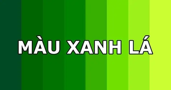 Màu xanh lá là gì? Xanh lá cây có ý nghĩa gì trong tình yêu?