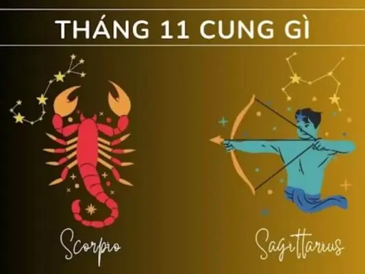 Tháng 11 cung gì? Bí mật đặc biệt về cung hoàng đạo 