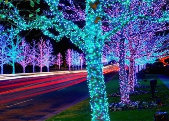 Các loại đèn dây ngoài trời tốt nhất và cách sử dụng