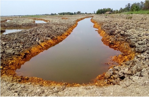 Nước nhiễm mặn