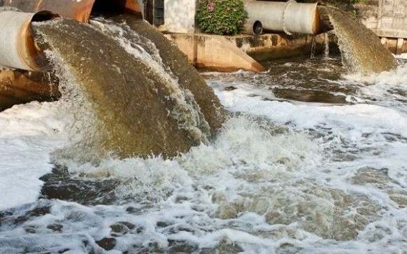 Chất hữu cơ trong nước: Nguyên nhân, tác động và cách xử lý