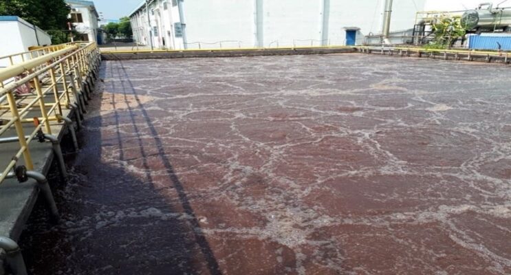 Bùn vi sinh trong xử lý nước thải sinh học hiện đại là gì?