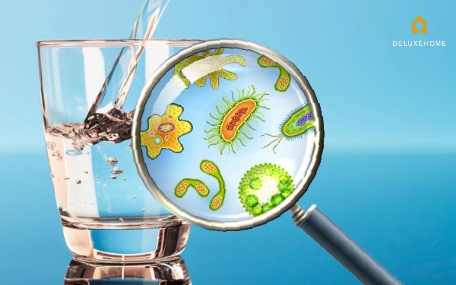 Các loại tạp chất thường gặp trong nước