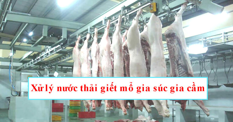 Xử lý nước thải giết mổ gia súc: Phương pháp và quy trình