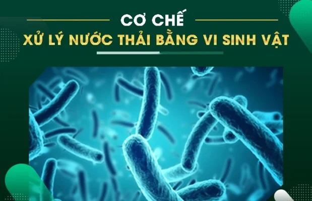 Xử lý nước thải bằng vi sinh vật: Cơ chế và phương pháp thực hiện