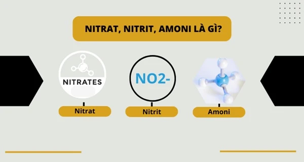 Những khu vực nào nguồn nước bị nhiễm nitrat, nitrit, amoni?