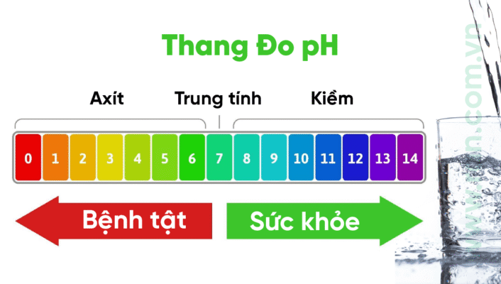 Độ pH của nước máy là bao nhiêu? Tại sao phải quan tâm đến độ pH?